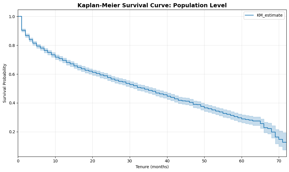 KM Survival Curve — Population